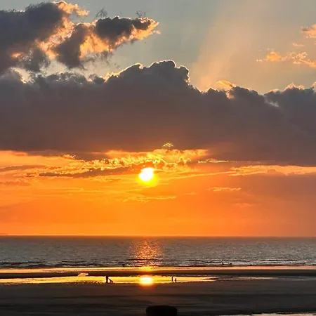Le Fenua D'opale - 2min De La Neufchâtel-Hardelot